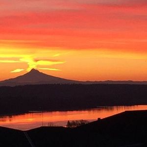 Meet your Posher, Tom